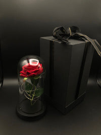 Ewige Rose im Glas LED-Licht Edles Präsent Weihnachten Valentinstag 21619