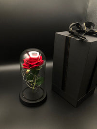 Ewige Rose im Glas LED-Licht Edles Präsent Weihnachten Valentinstag 21619